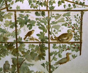 Villa Medici的鸟舍壁画，见1576-77 作者 雅各布·祖基